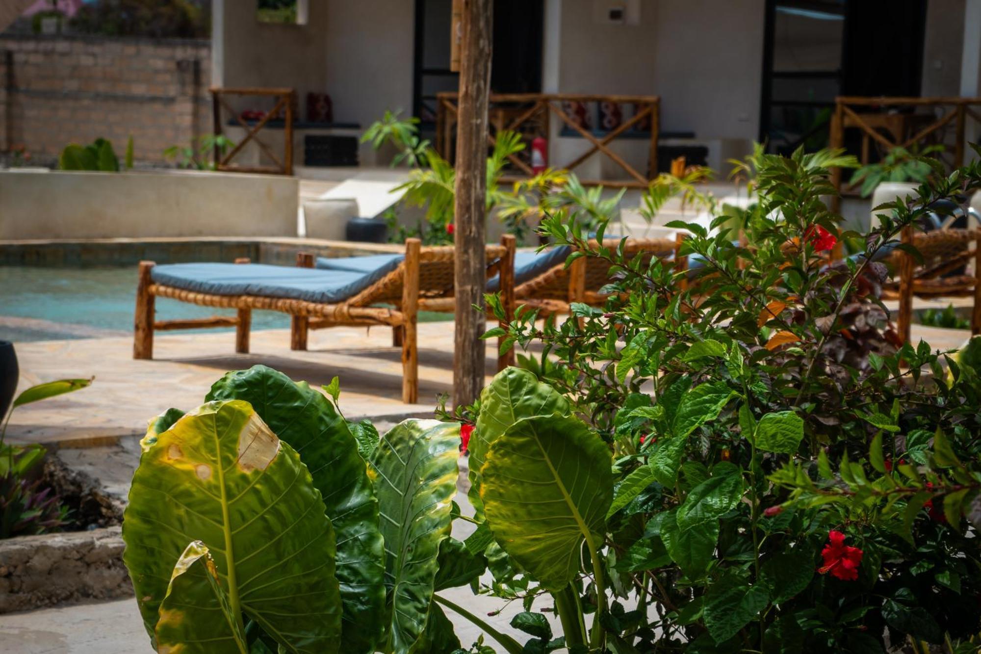 Blooming Zanzibar Hotel Jambiani  Exterior photo